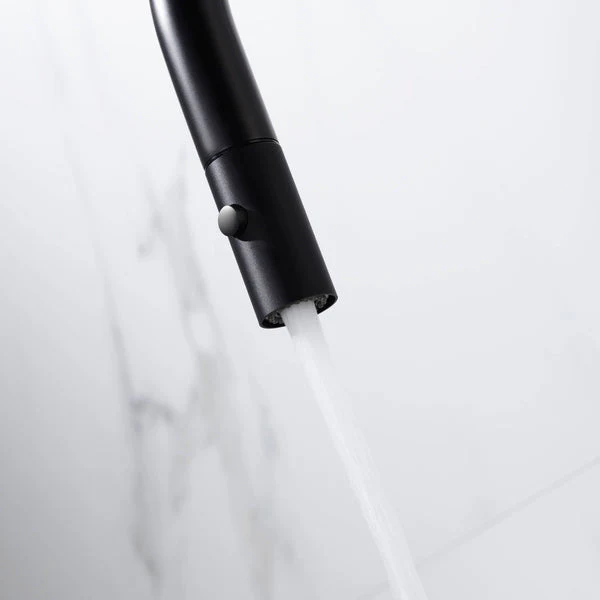 Dolce Pull Out Kitchen Mixer with Veggie Spray Matte Black - Image 3